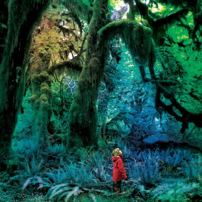 Album cover - Jacco Gardner