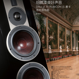 细腻柔美好声音:DALI达尼RUBICON乐爵6落地式音箱