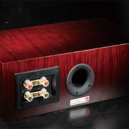 音乐味浓郁的多声道:达尼DALI RUBICON 5.1声道音箱组合