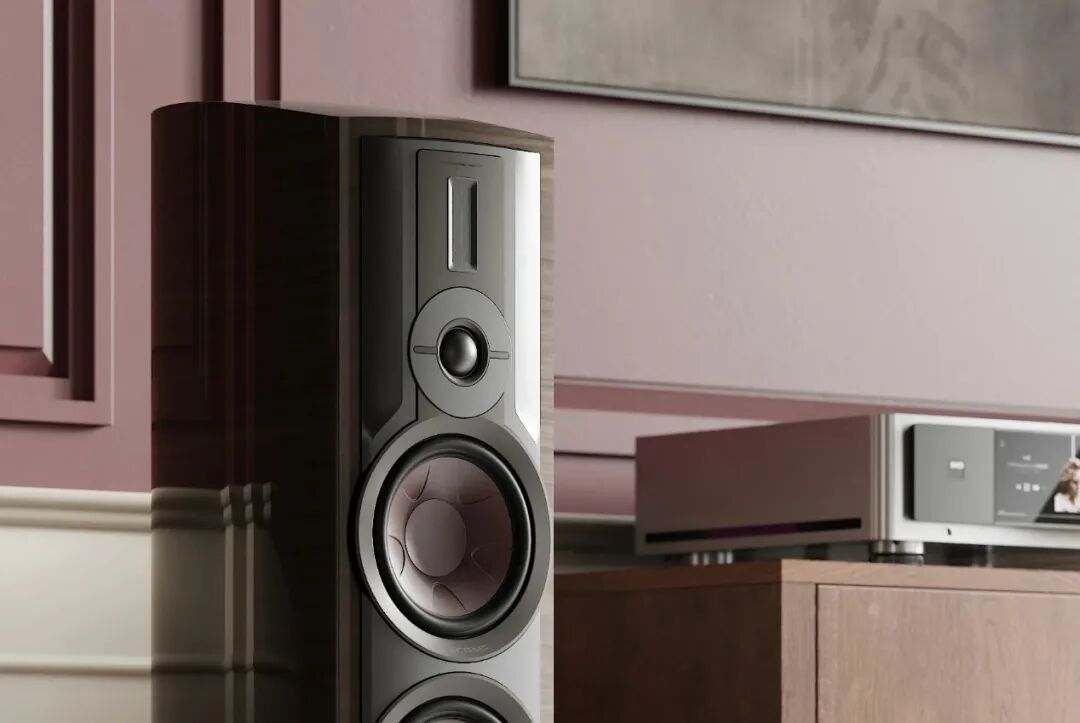 混合高音单元 ——达尼的标志性技术